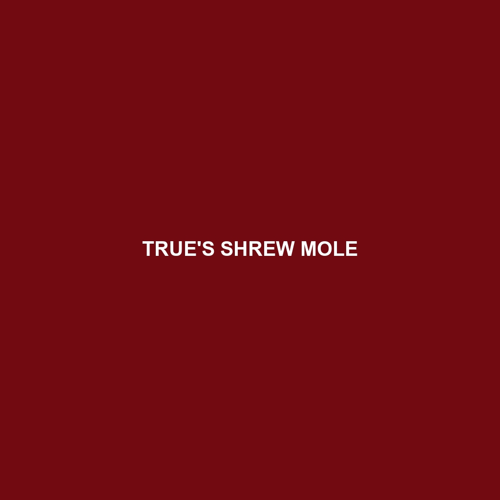 True's Shrew Mole