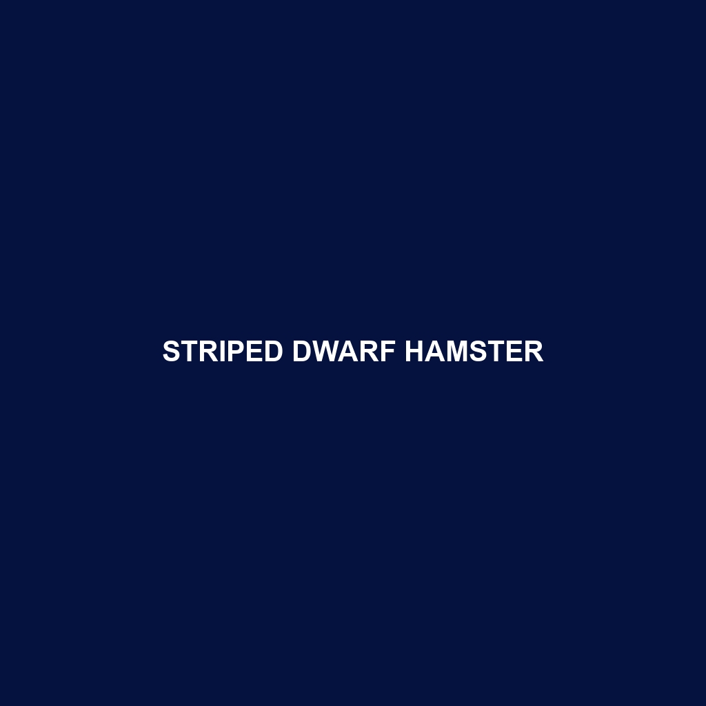 Striped Dwarf Hamster