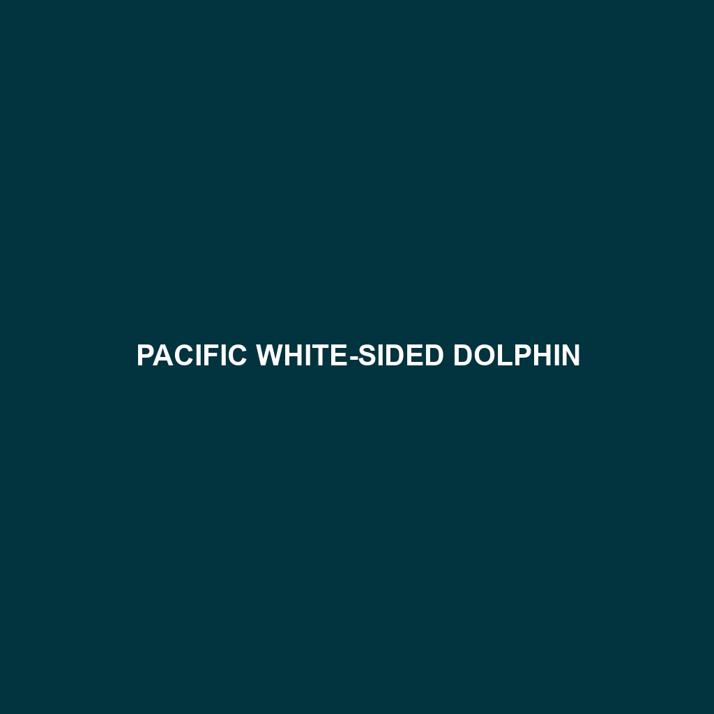 Pacific White-sided Dolphin