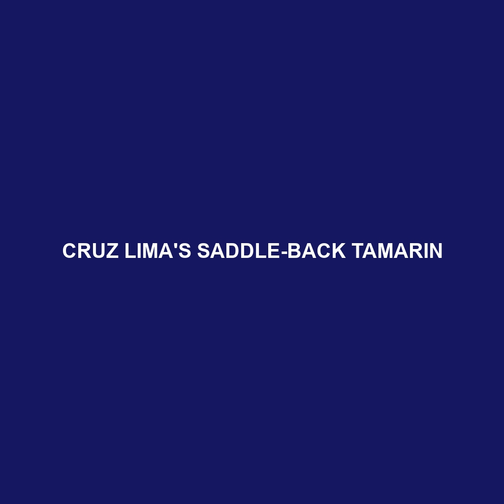 Cruz Lima's Saddle-back Tamarin