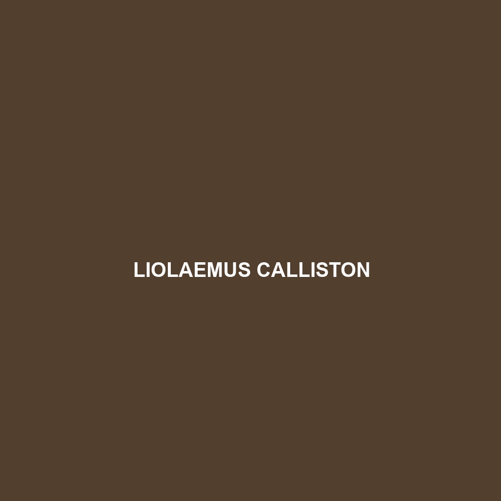 Liolaemus calliston