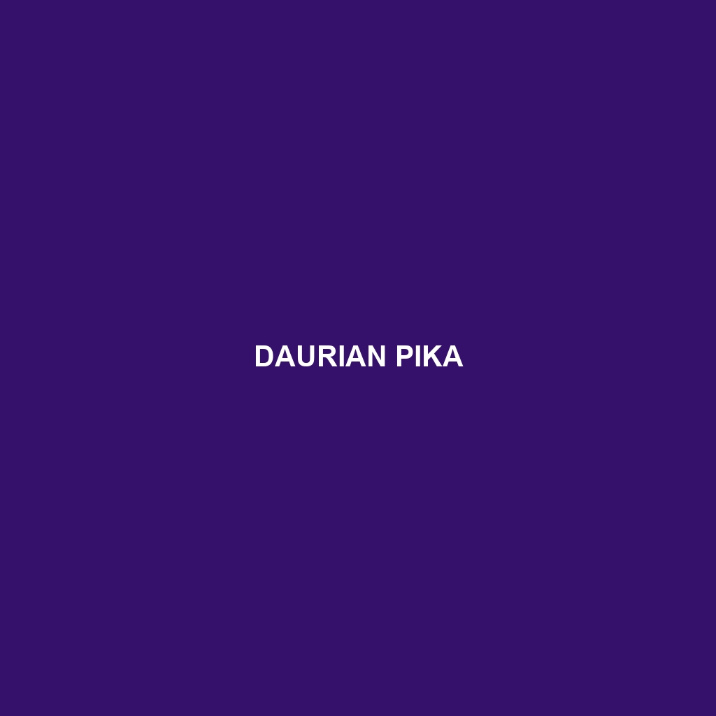 Daurian Pika