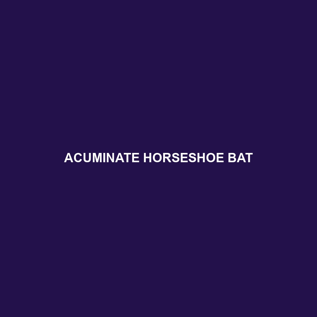 Acuminate Horseshoe Bat