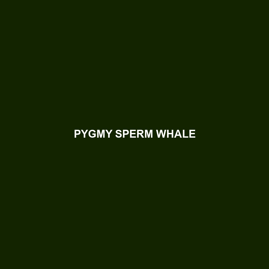 Dwarf Sperm Whale