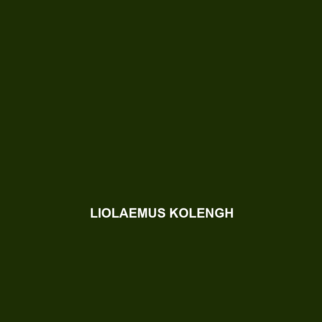 Liolaemus kolengh