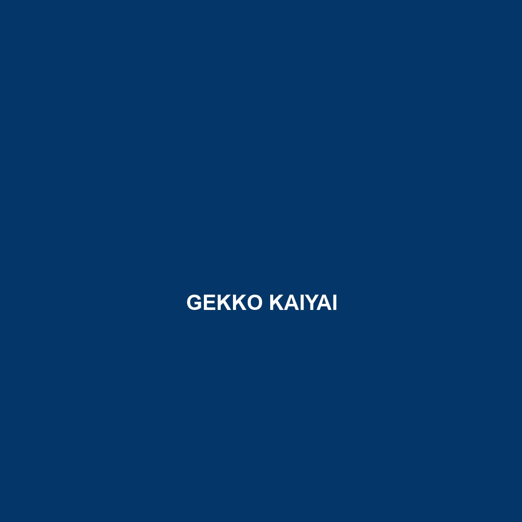 Gekko kaiyai