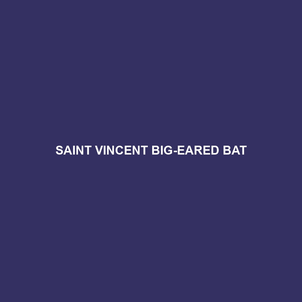 Saint Vincent Big-eared Bat