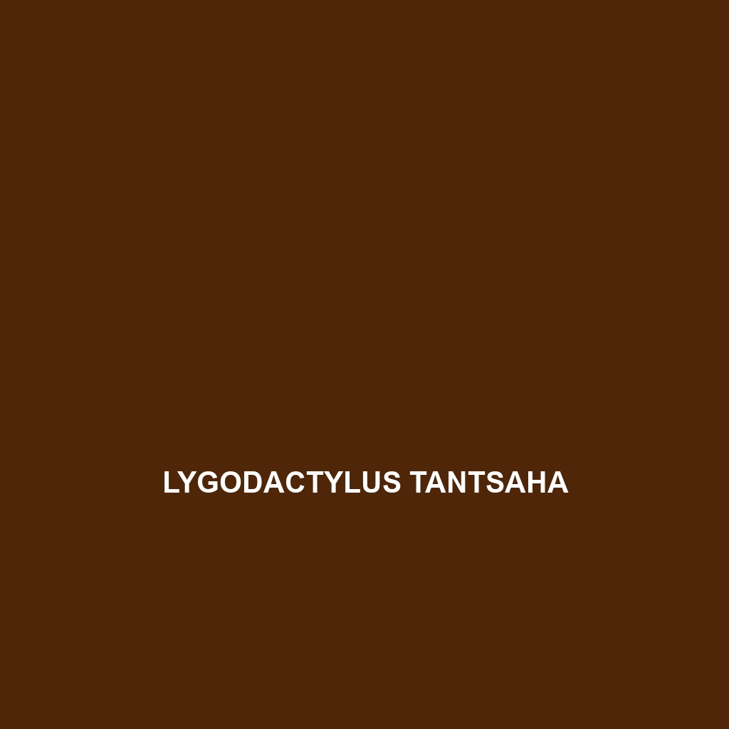 Lygodactylus tantsaha