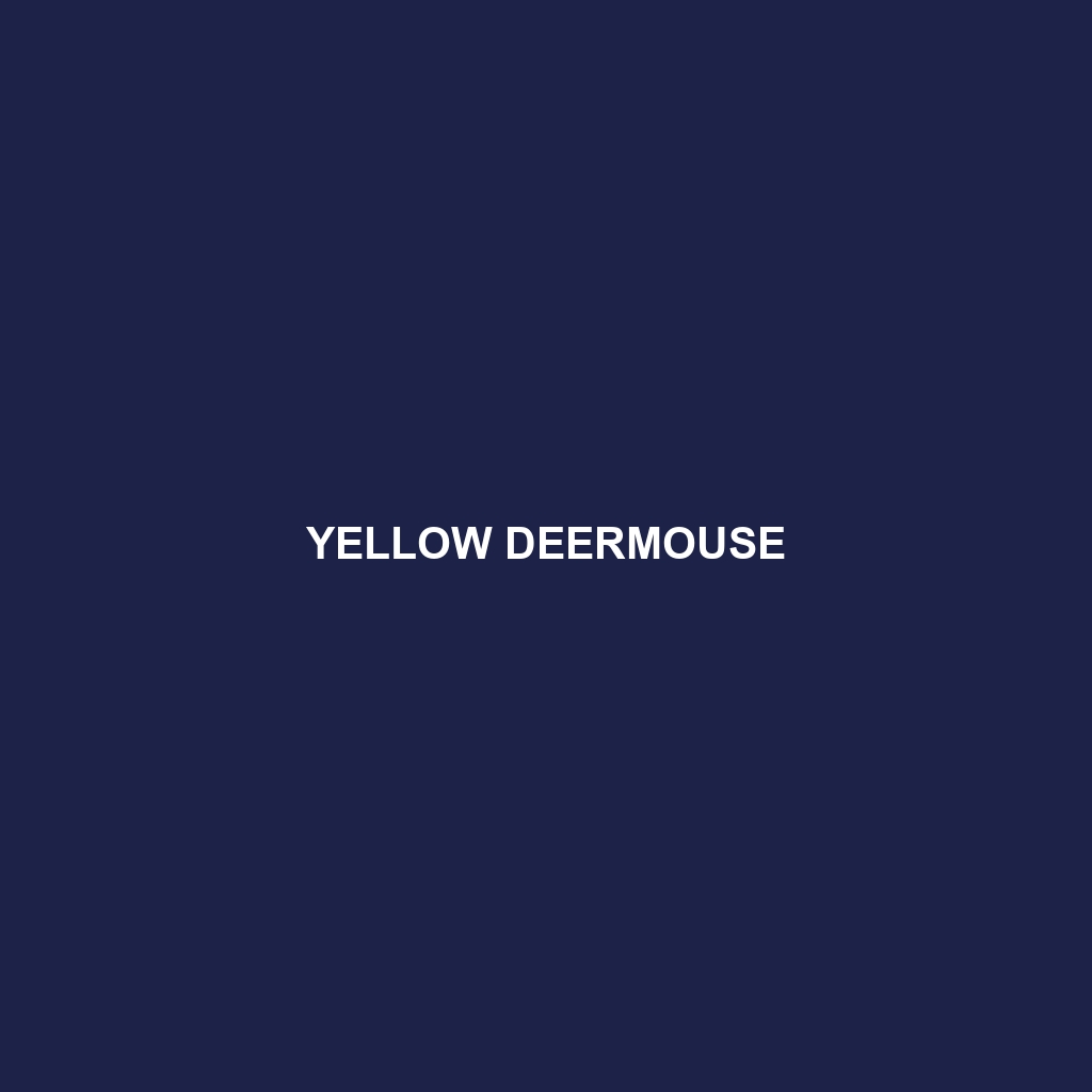 Yellow Deermouse