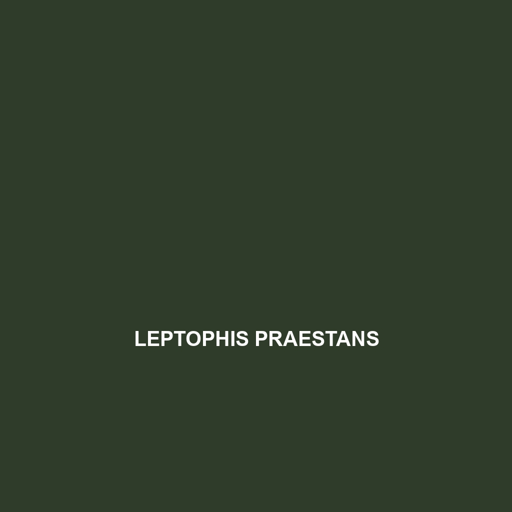 Leptophis praestans