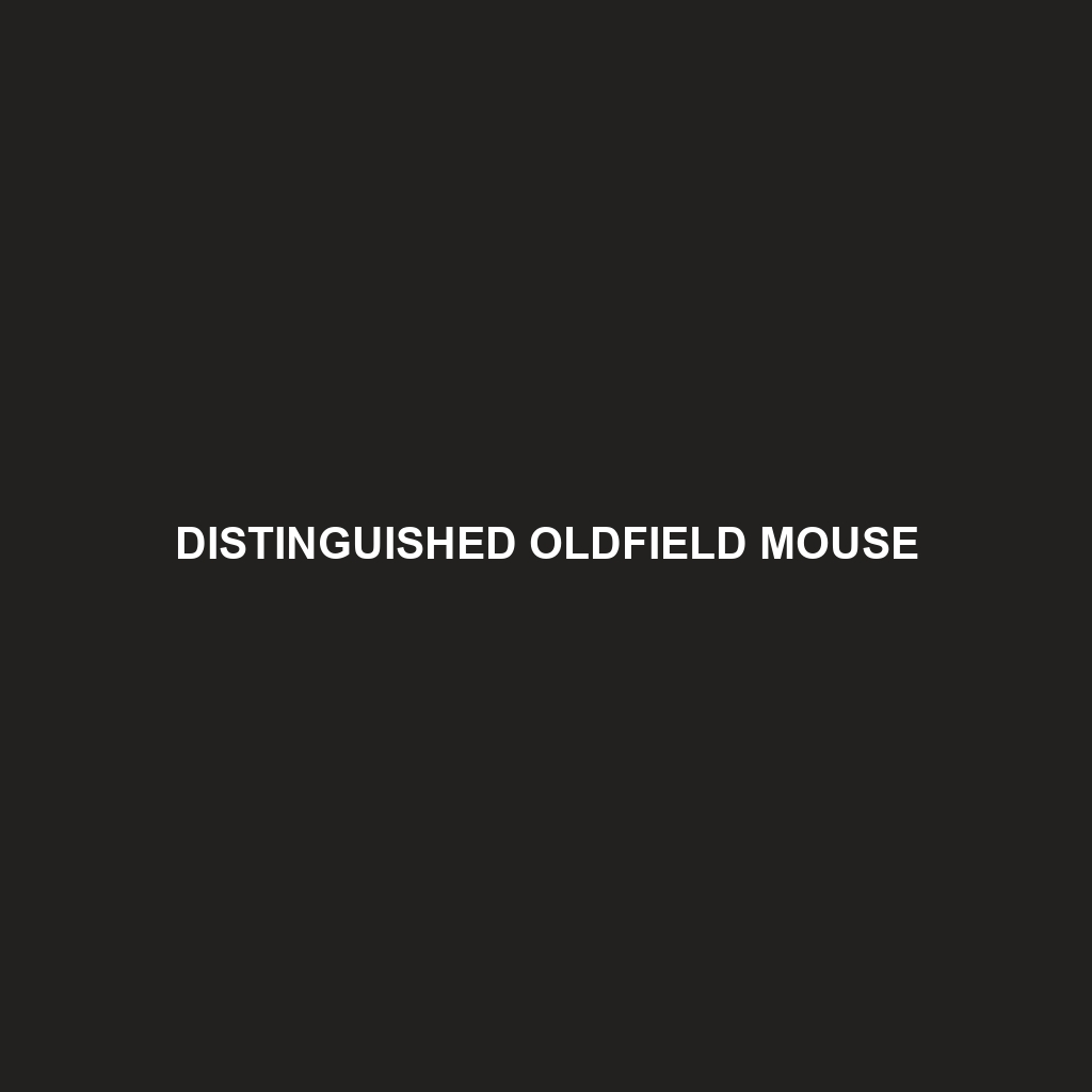 Distinguished Oldfield Mouse