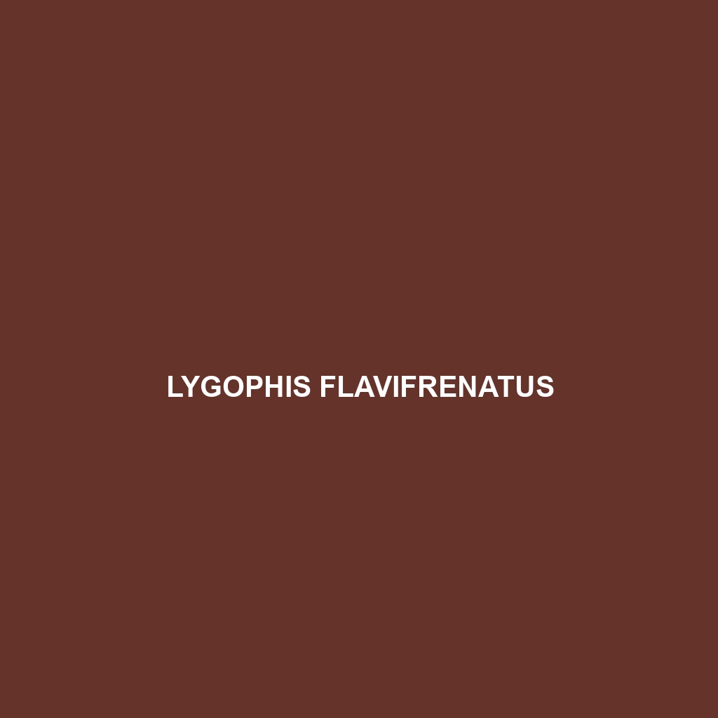 Lygophis flavifrenatus