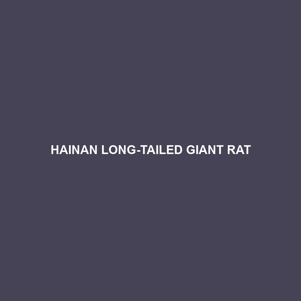 Hainan Long-tailed Giant Rat