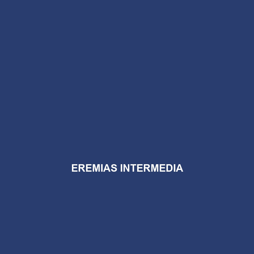 Eremias intermedia