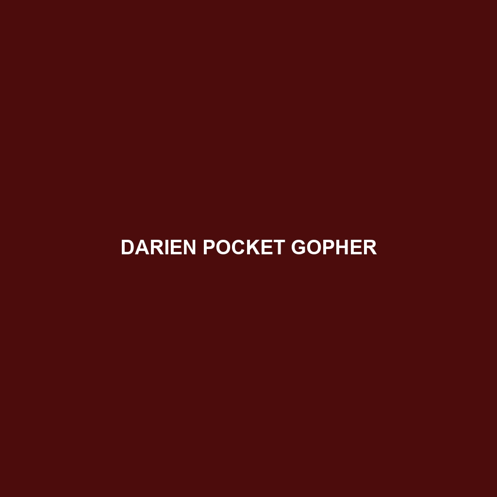 Darien Pocket Gopher