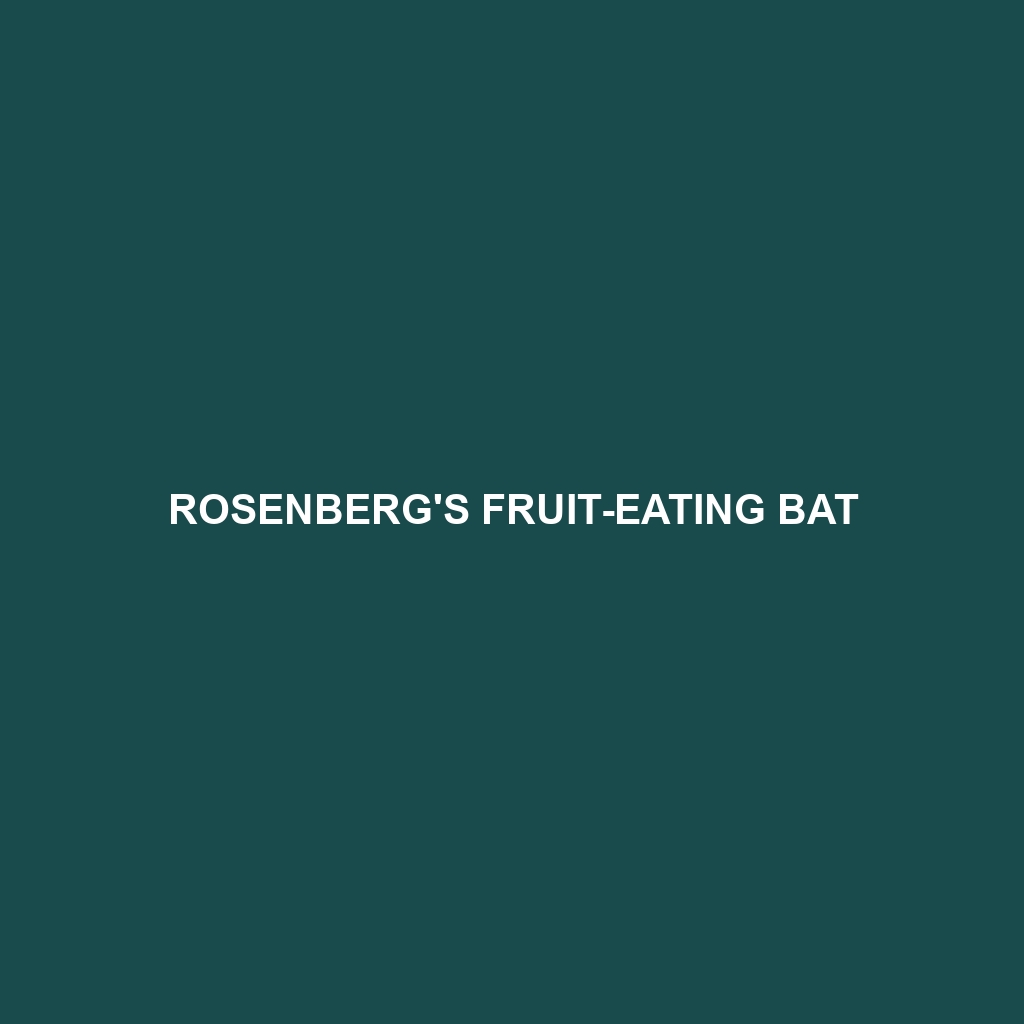 Rosenberg's Fruit-eating Bat