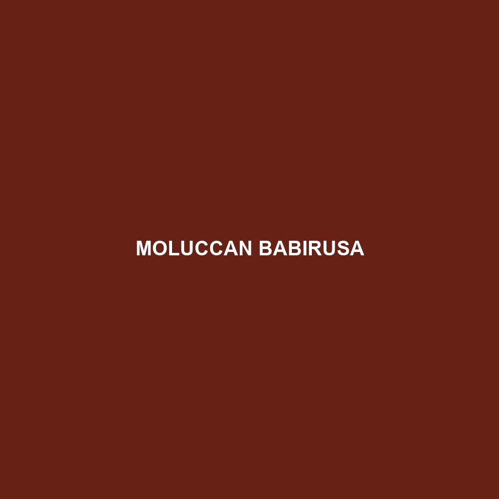 Moluccan Babirusa