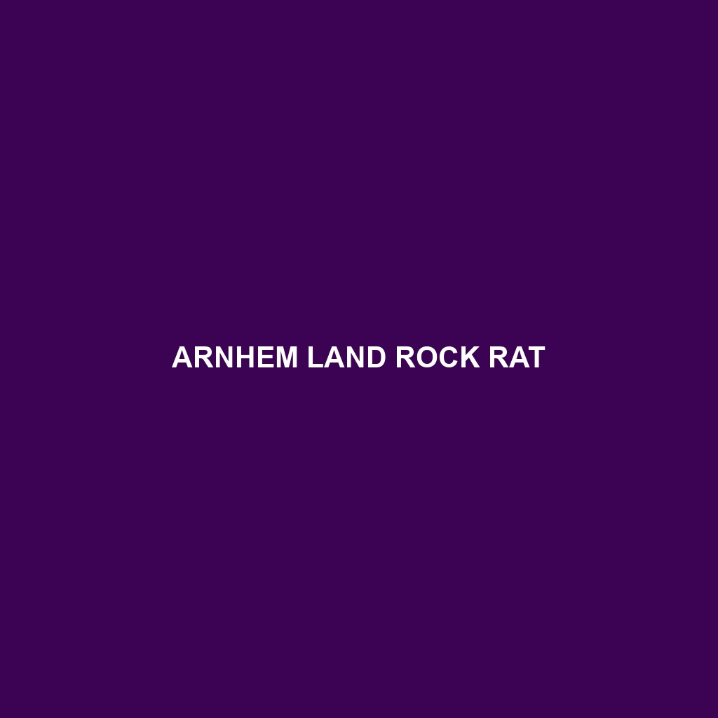 Arnhem Land Rock Rat