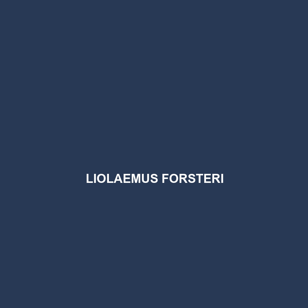 Liolaemus forsteri