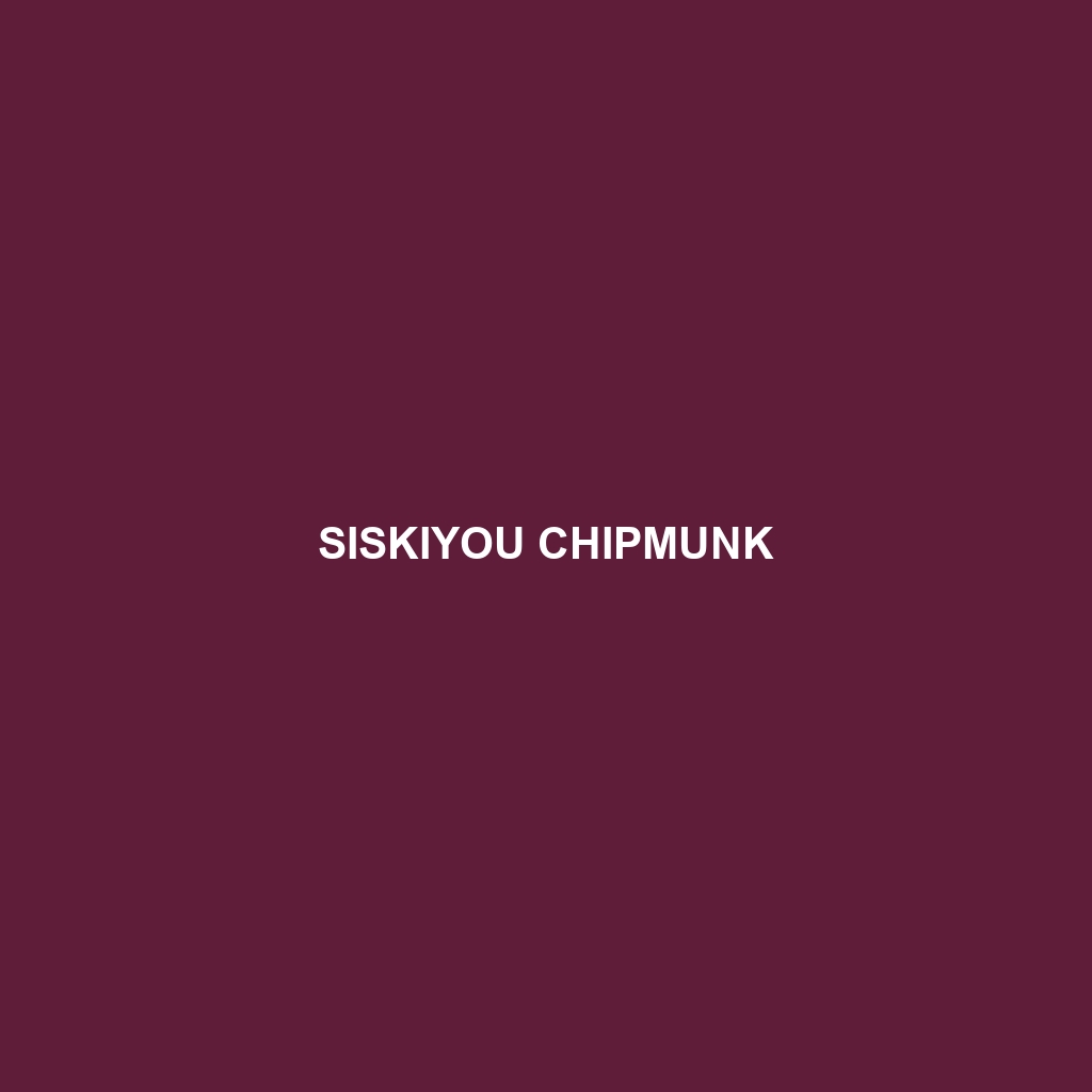 Siskiyou Chipmunk