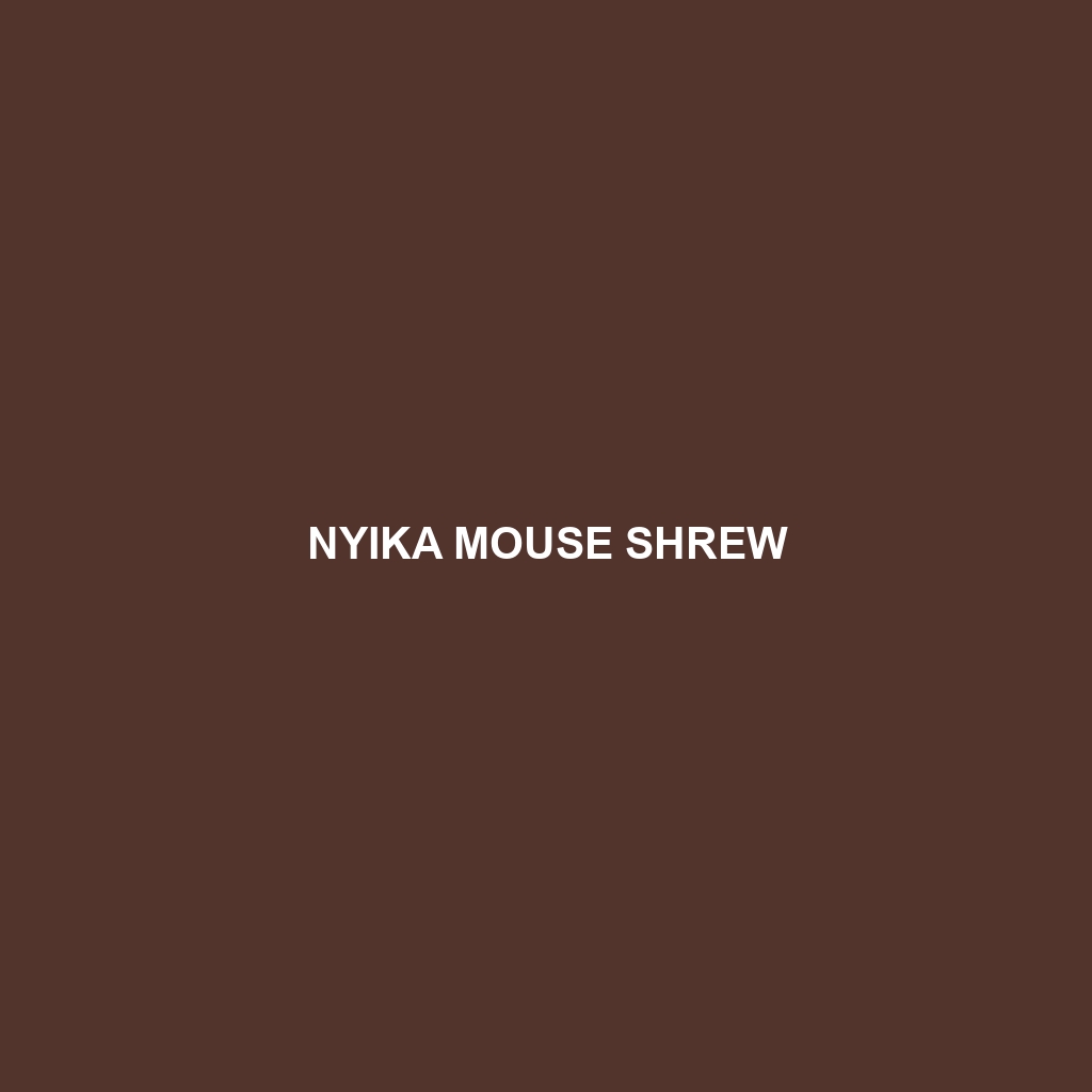 Nyika Mouse Shrew