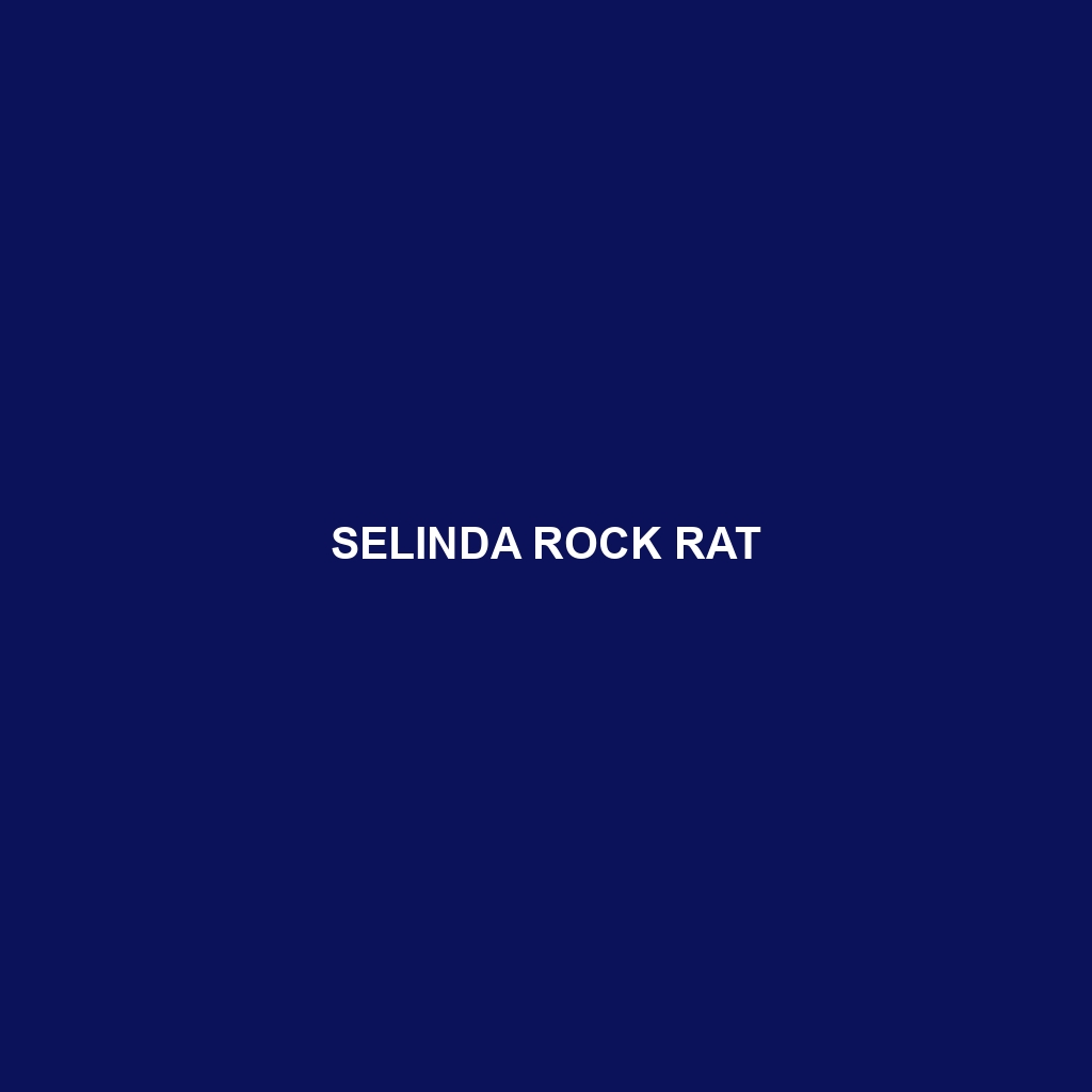 Selinda Rock Rat