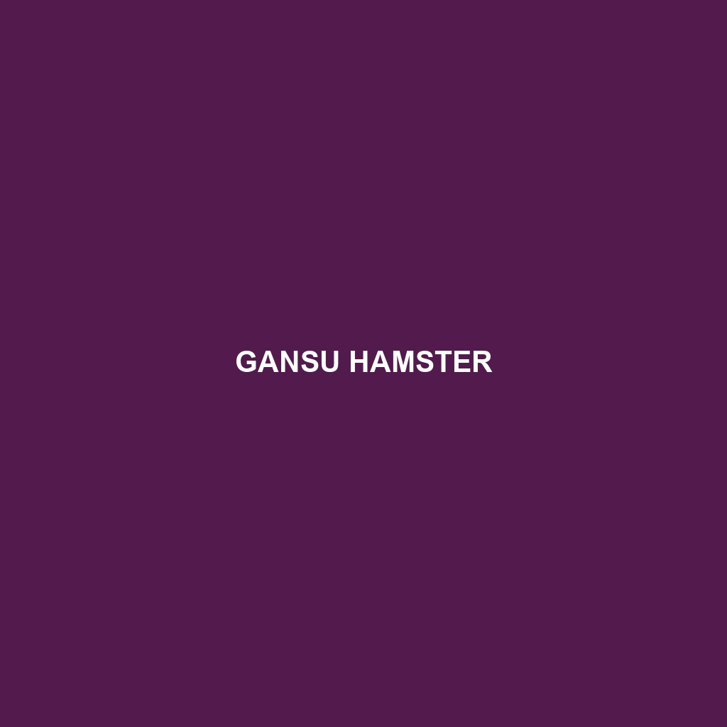 Gansu Hamster