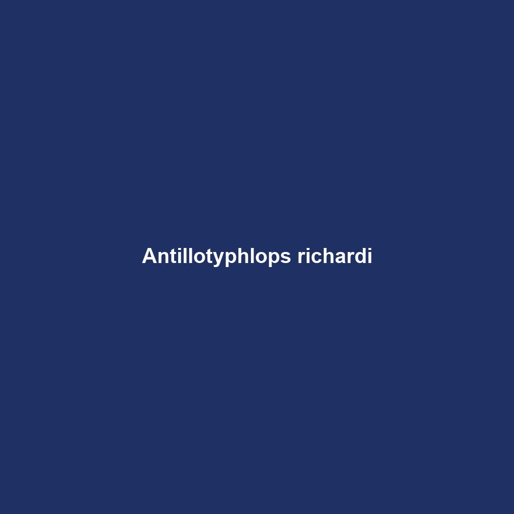 Antillotyphlops richardi