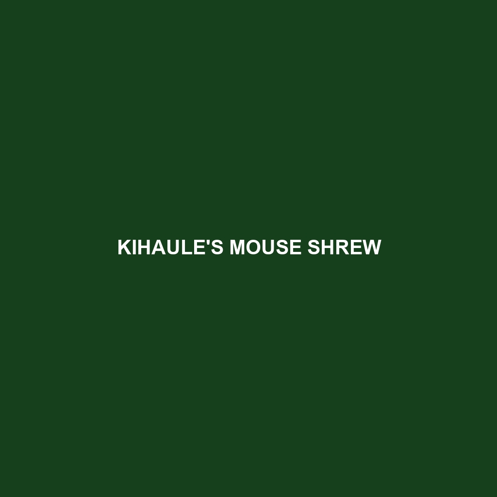 Kihaule's Mouse Shrew