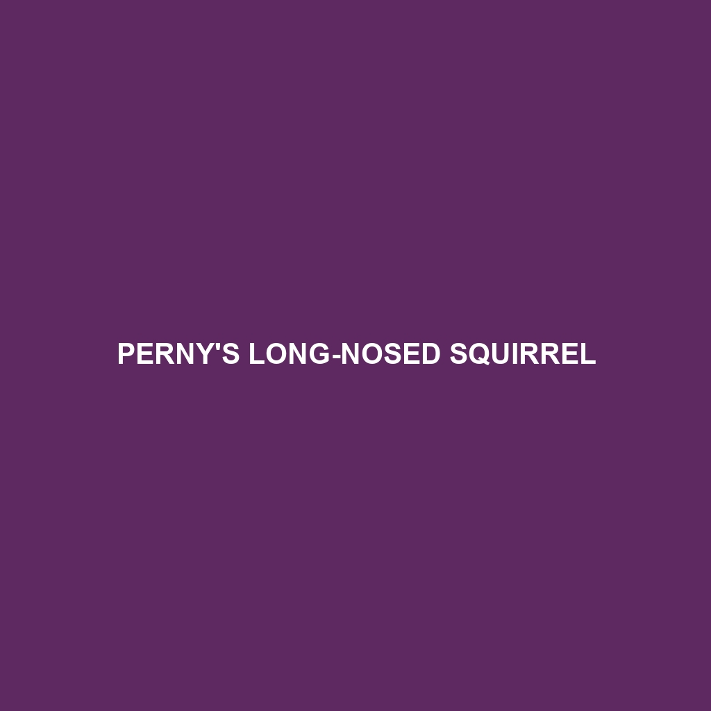 Perny's Long-nosed Squirrel