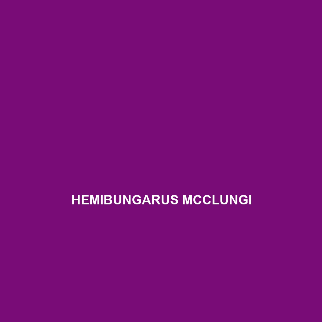 Hemibungarus mcclungi