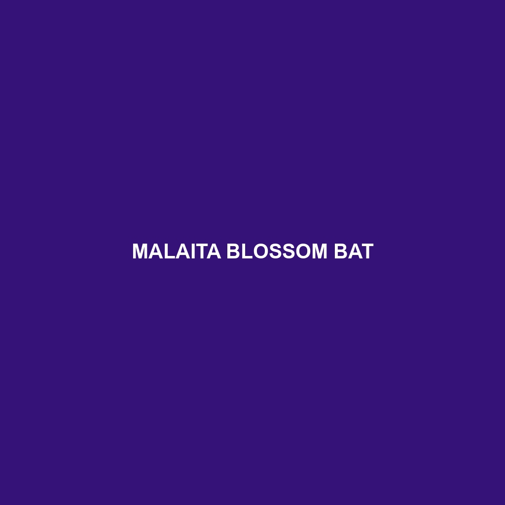 Malaita Blossom Bat