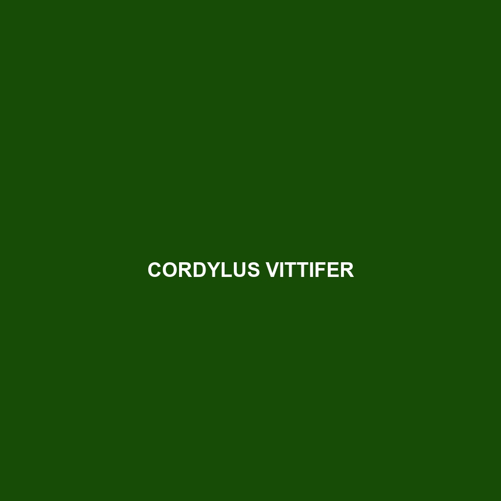 Cordylus vittifer