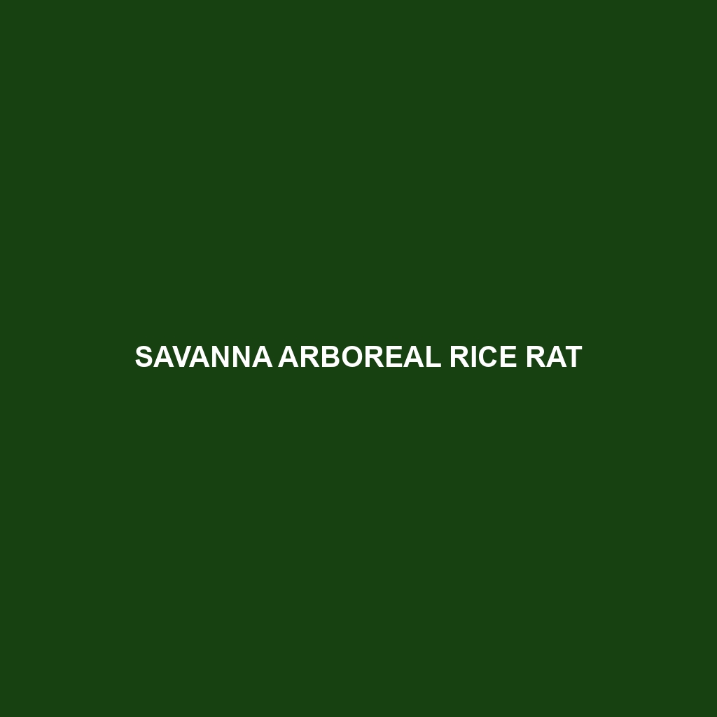 Savanna Arboreal Rice Rat