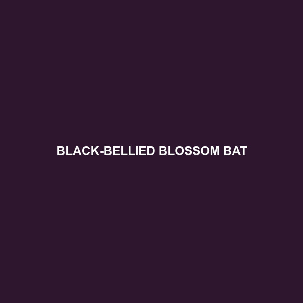 Black-bellied Blossom Bat