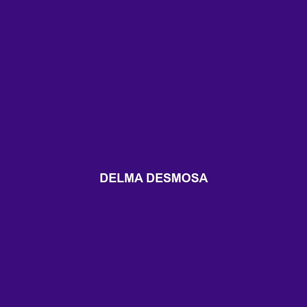 Delma concinna