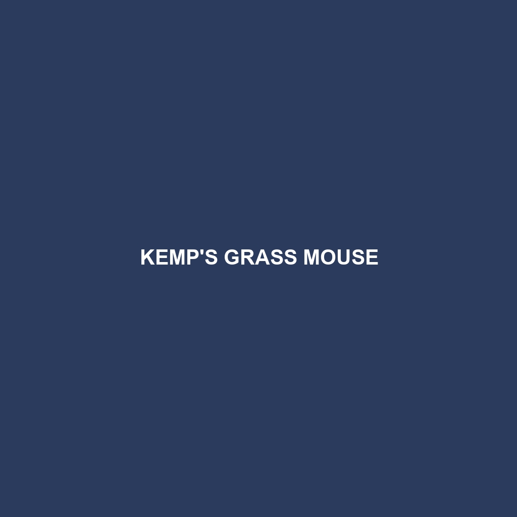 Kemp's Grass Mouse