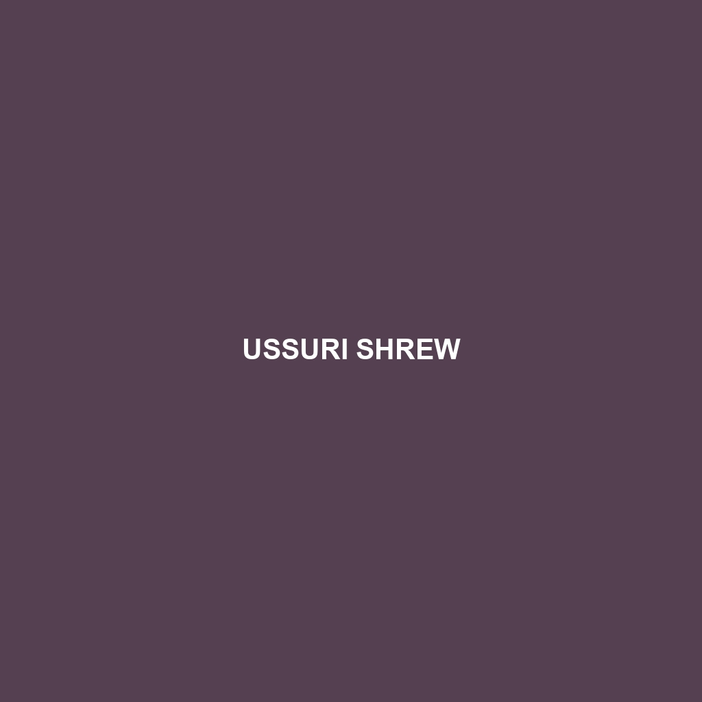 Ussuri Shrew