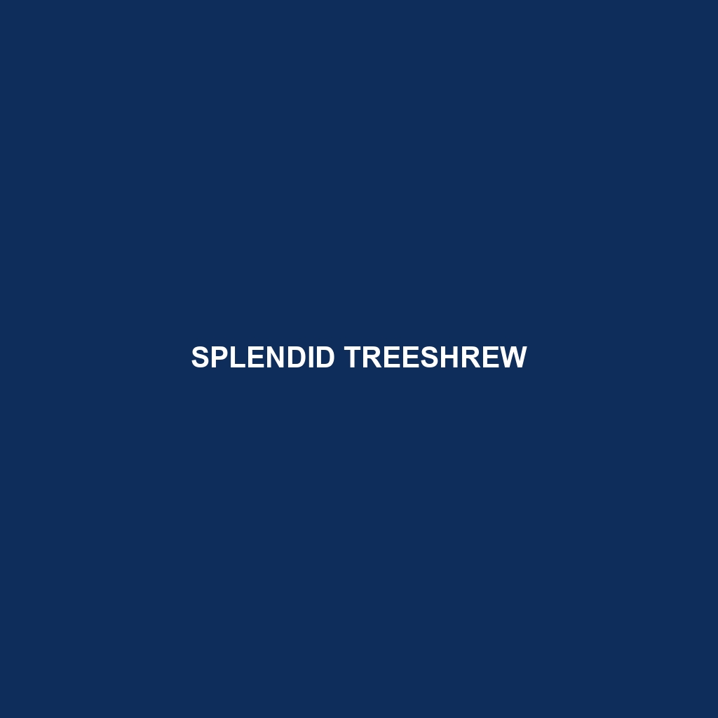 Splendid Treeshrew