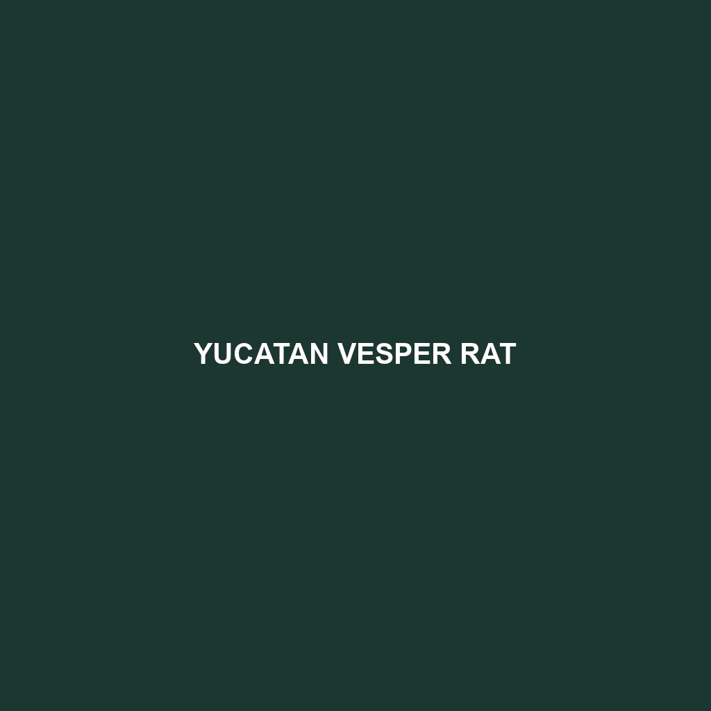 Yucatan Vesper Rat