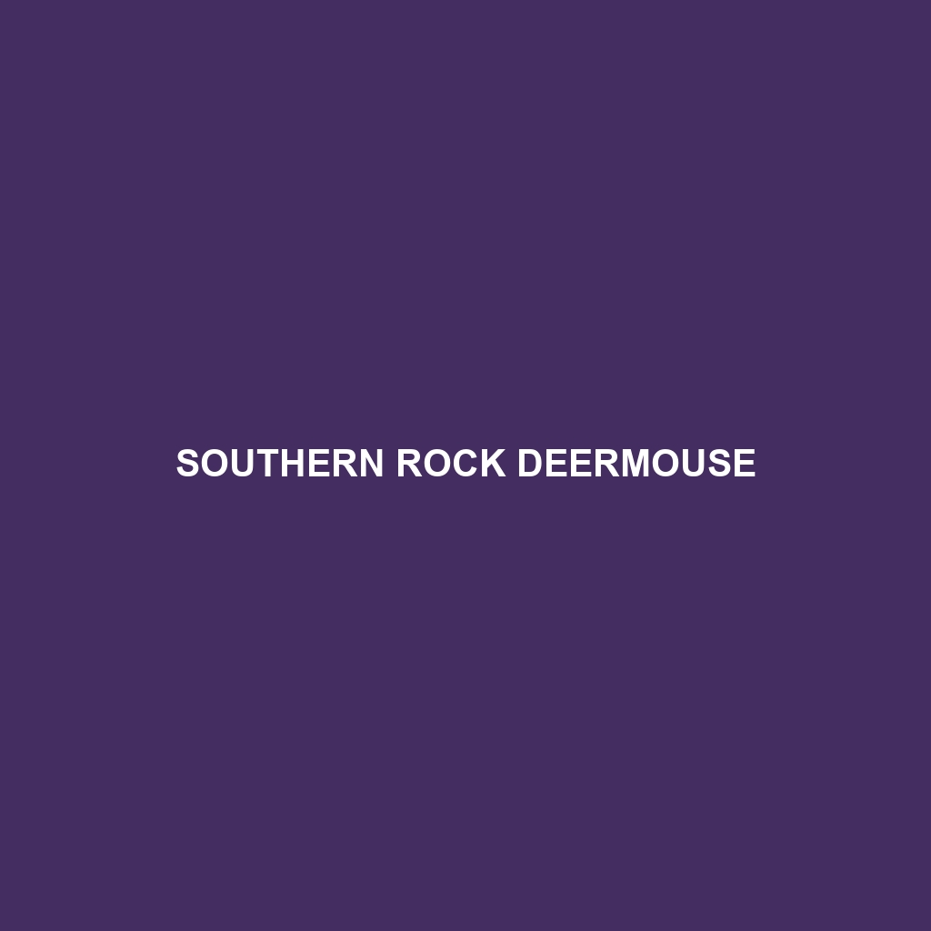 Southern Rock Deermouse