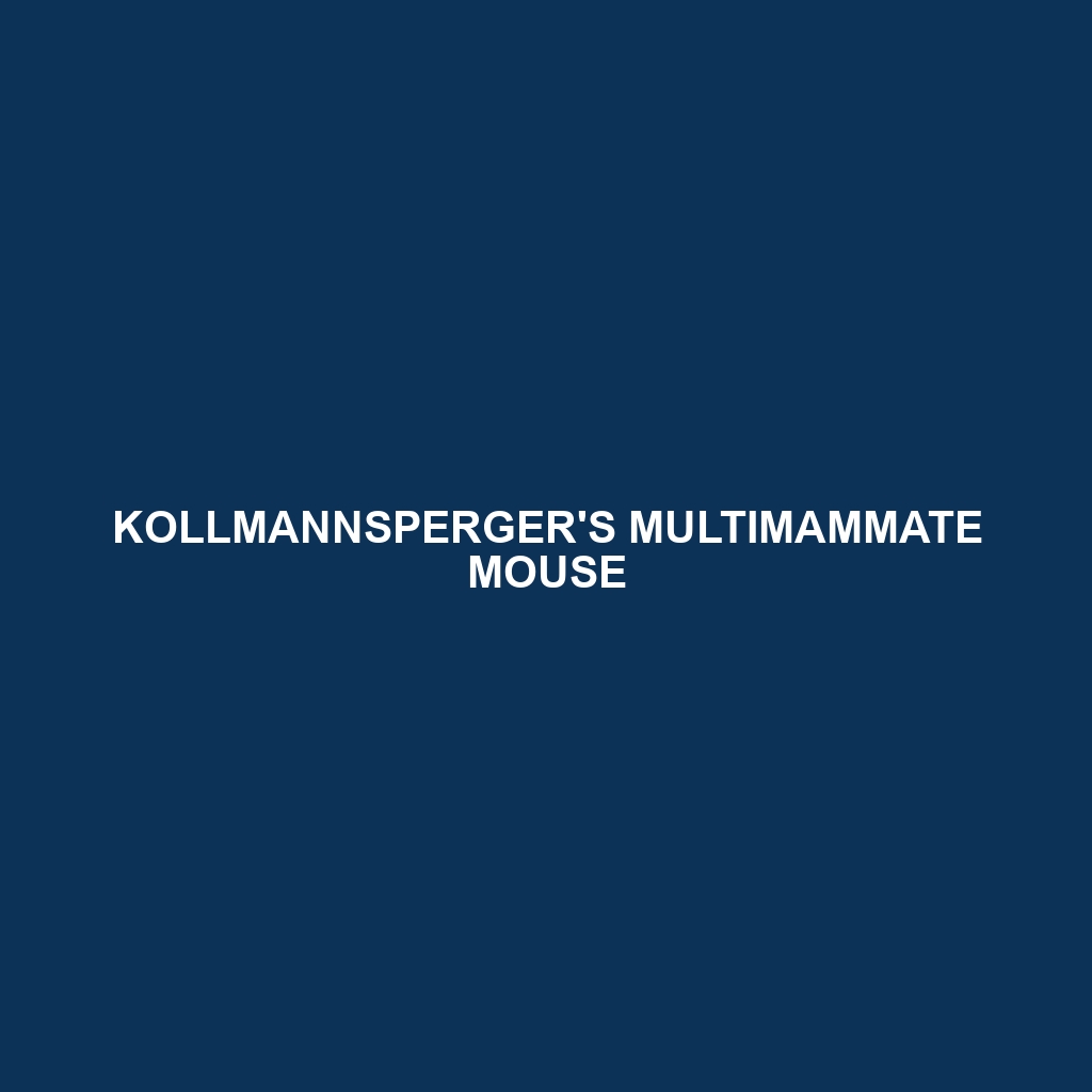 Kollmannsperger's Multimammate Mouse