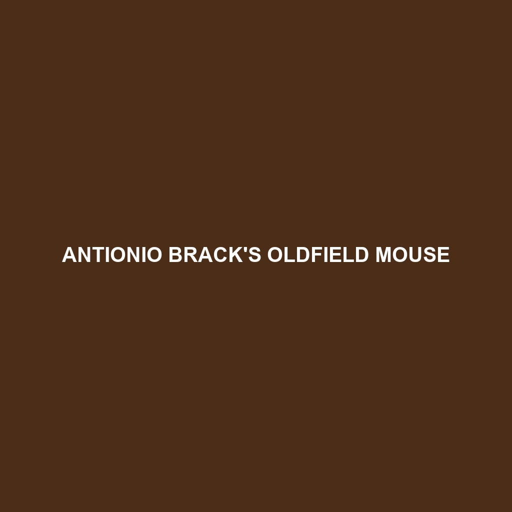 Antionio Brack's Oldfield Mouse