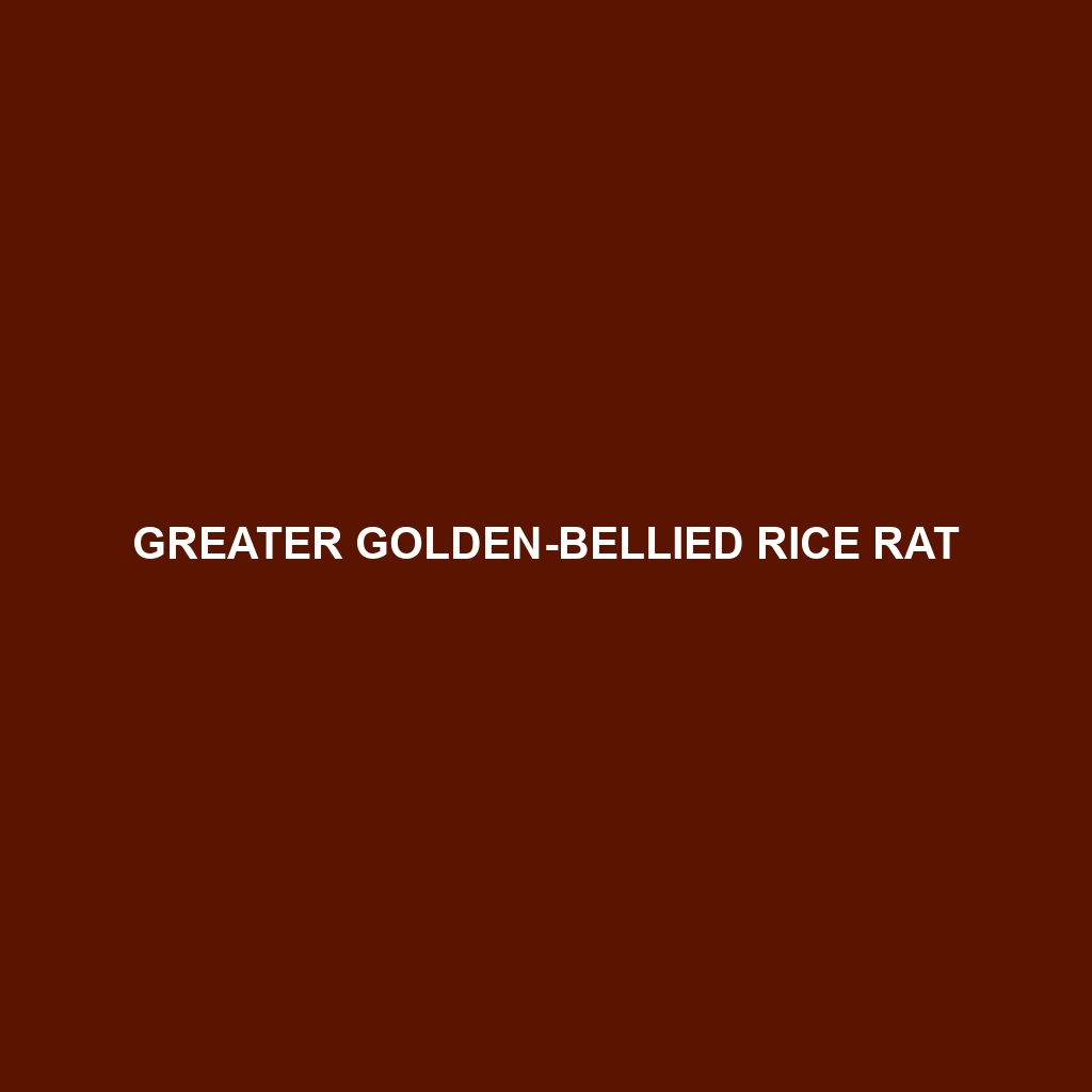 Greater Golden-bellied Rice Rat