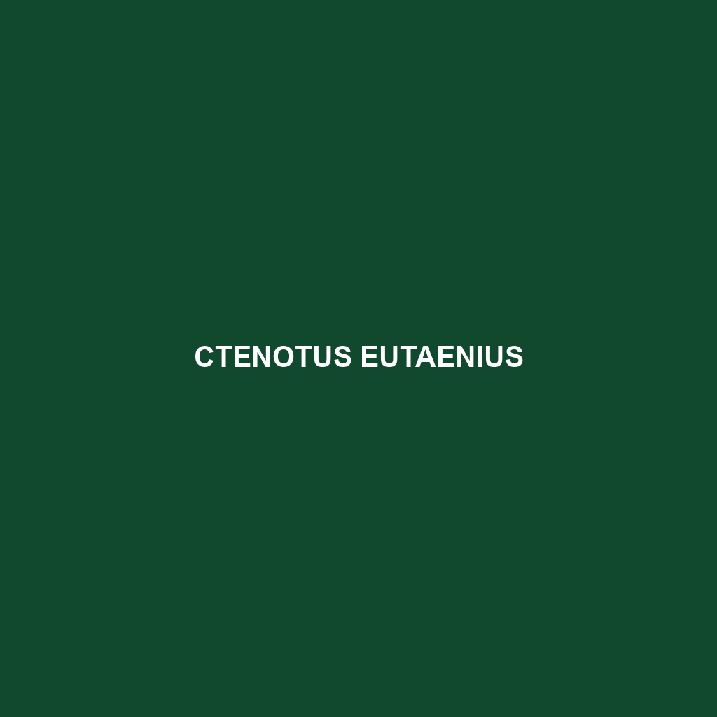 Ctenotus eutaenius