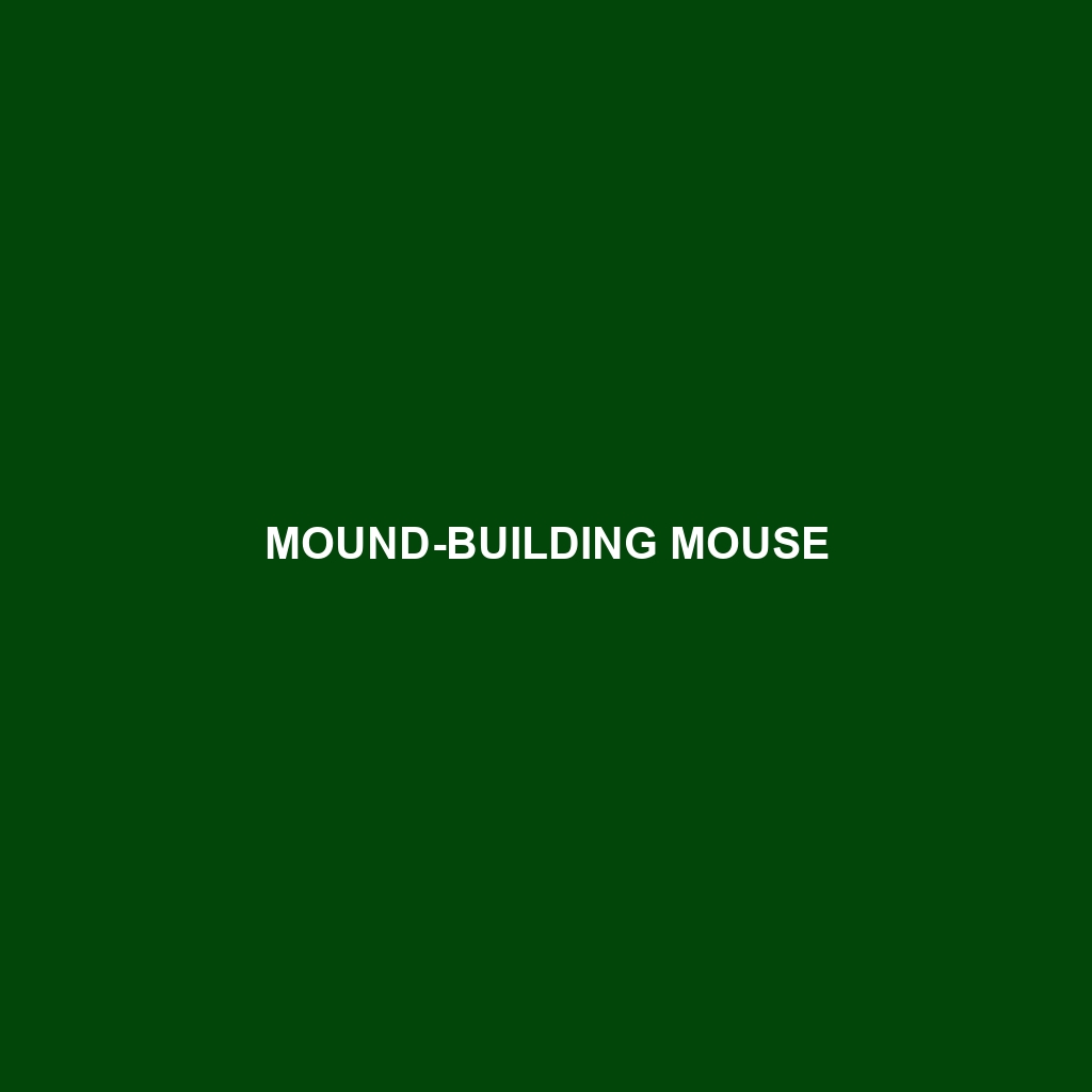 Mound-building Mouse