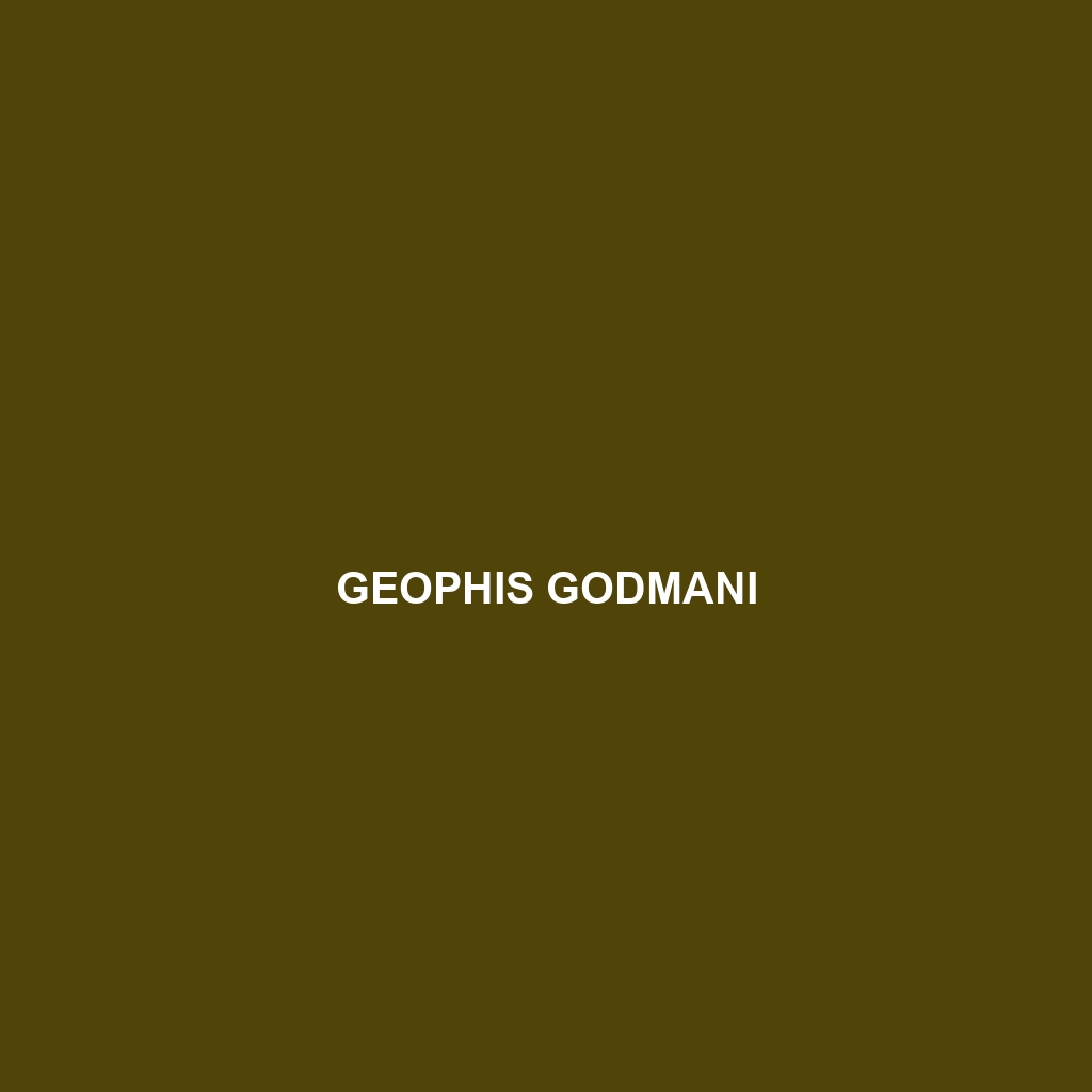 Geophis godmani