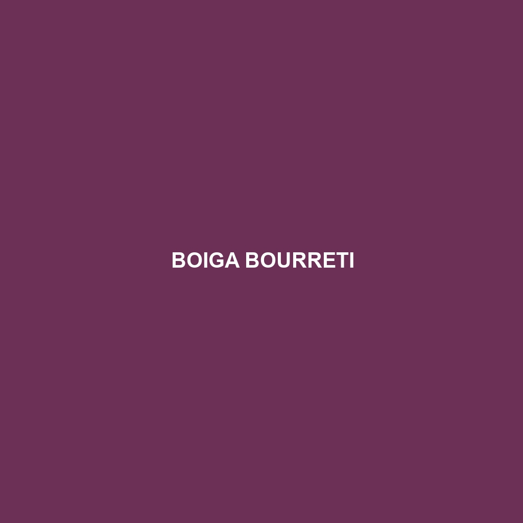 Boiga bourreti