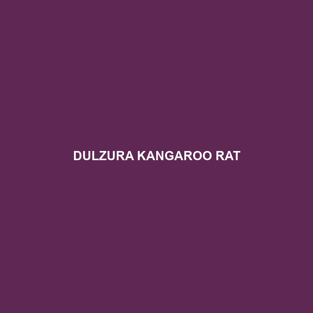 Dulzura Kangaroo Rat