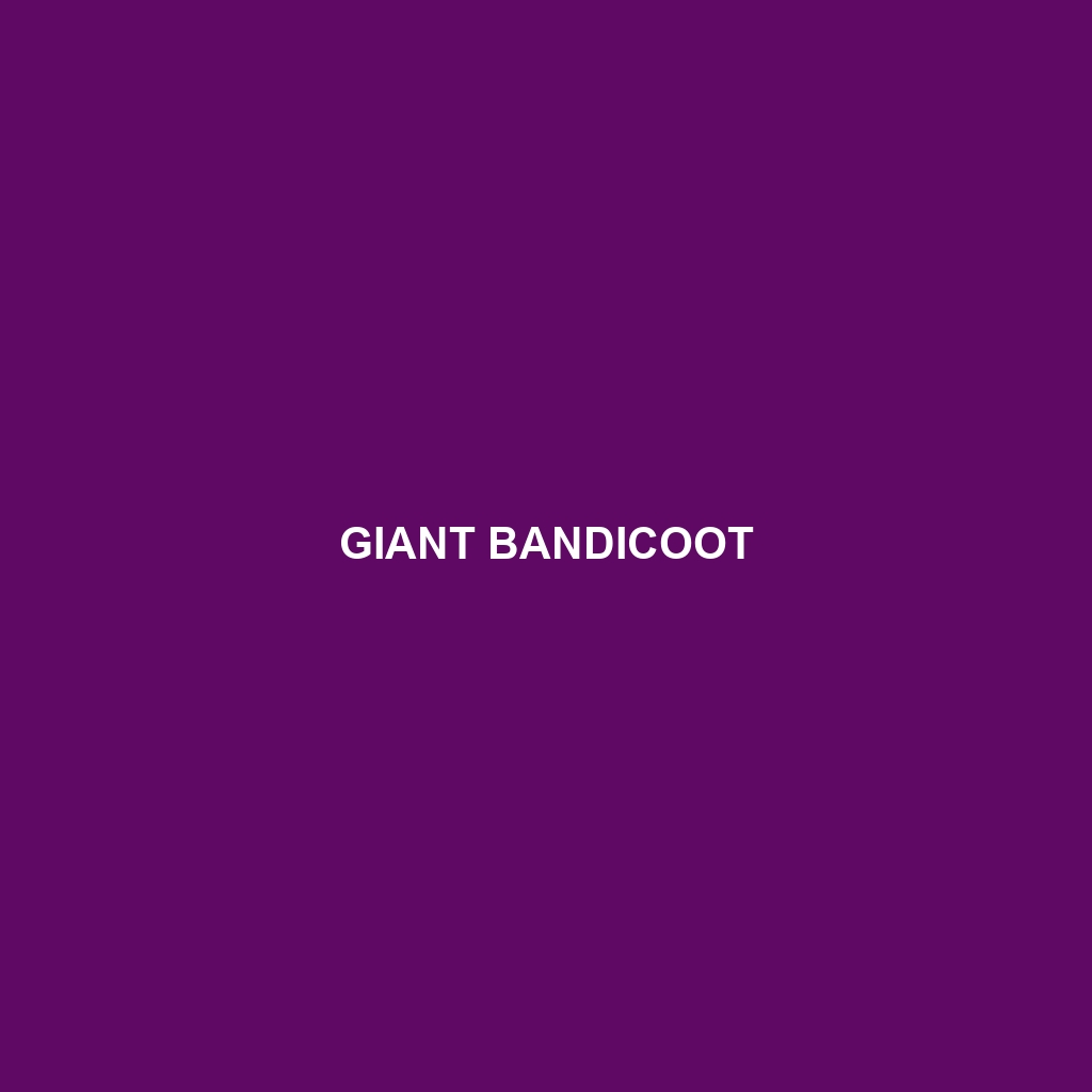 Giant Bandicoot